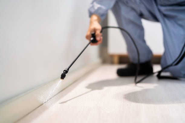 Licensed Pest Control service in Sumter County County, GA - Nex Pest Control